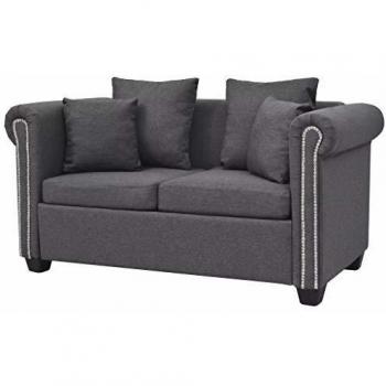 vidaXL Sofá de 2 Plazas de Tela Gris Oscuro 143x75x73cm Mobiliario Hogar Casa