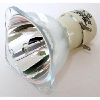 OPTOMA SP.8EH01GC01 - Bombilla de recambio PHILIPS