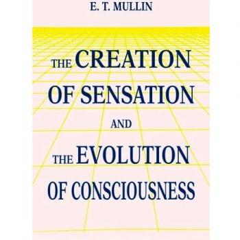 Creación de Sensaciones y Evolución de la Conciencia - Edición en Rústica