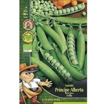 Semillas ecológicas de Guisante Principe Alberto