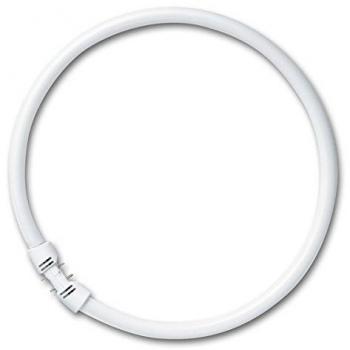 Osram Lámpara Fluorescente, 36 W