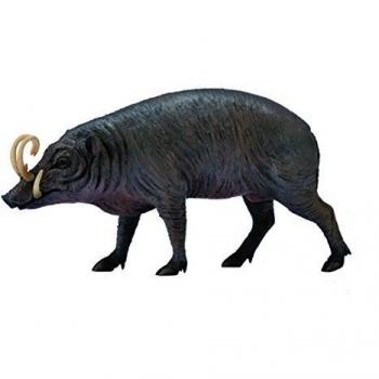 Collecta - Babirusa -L- 88727
