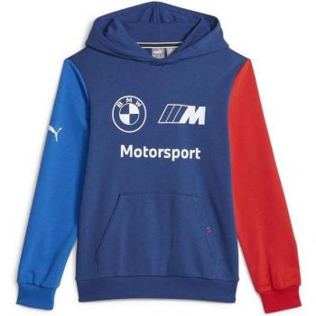 Sudadera BMW M Motorsport Essentials azul Puma