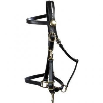 PFIFF Wanderreittrensenzaum - Arreo, Color Negro, Talla COB/Vollblut