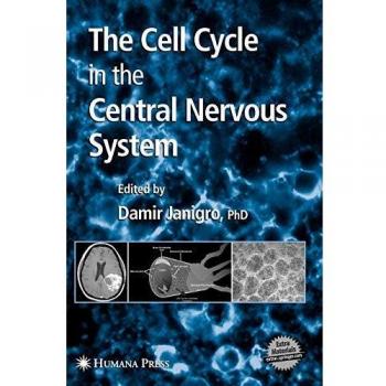 Cell Cycle Dynamics in the Central Nervous System