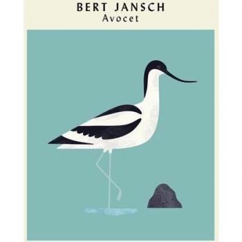Vinilo Edición Limitada Avocet de Bert Jansch