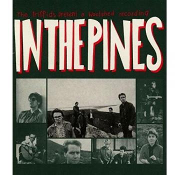 In The Pines
