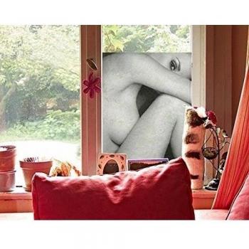 Apalis Mural de Ventana Female Nude On The Side II, Dimensione:192cm x 144cm