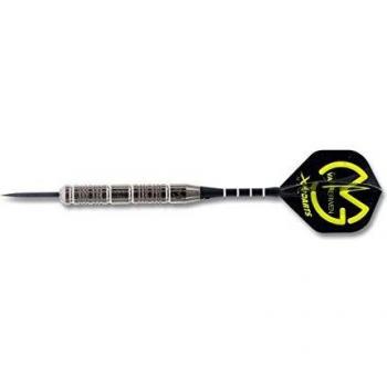 XQ MAX (Adultos Michael Van Gerwen Brass Steel Dardos en Tungsten Look 23 Gramos, Green, 1