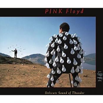 Pink Floyd - Delicate Sound of Thunder (Live Album)