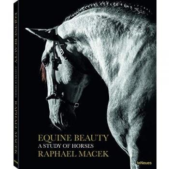 EQUINE BEAUTY SMALL: A study of horses, édition français - anglais - allemand - espagnol