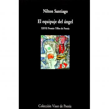 El Equipaje del Ángel: 868
