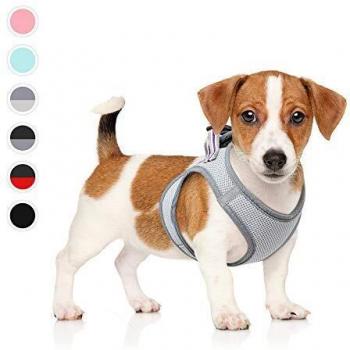HEELE Arnés para Perro, de Malla Transpirable, con Líneas Reflectores, Ajustable Suave Acolchado Cómodo para Viajar Pasear con Mascota Pequeña Cachorro Chihuahua, Gris, M