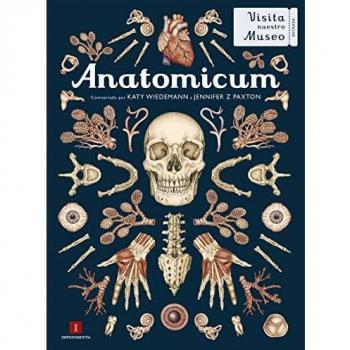 Prostata La AnatomiaQuirurgica Translacional