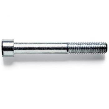 Tornillo Allen 912 Zincado 10x60mm 8.8 - Paquete de 200 Piezas
