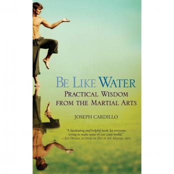 Be Like Water: Practical Wisdom from the Martial Arts