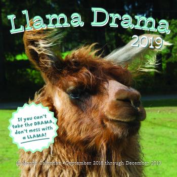 Llama Drama 2019: 16-Month Calendar - September 2018 through December 2019