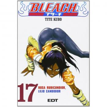 Bleach 17