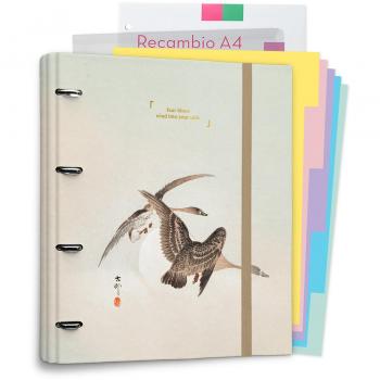 Carpeta de 4 Anillas Japan Grupo Erik Editores Beige