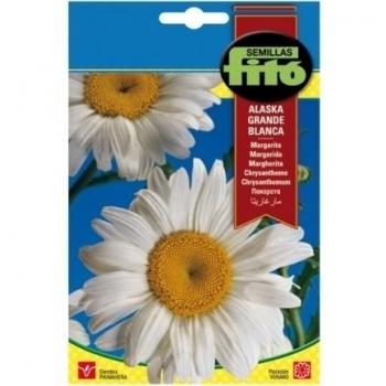 Nd 1571260031 - Semillas Margarita grae Alaska Blanca