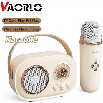 Altavoz Bluetooth VAORLO Rosa con Micrófono Inalámbrico, Soporte para Karaoke, Reproducción FM, Tarjeta TF y Subwoofer de Alta Fidelidad