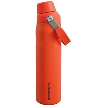 Botella de Agua Isotérmica Stanley IceFlow™ Fast Flow 0.6L - Rápido Flujo, Unisex, Transparente