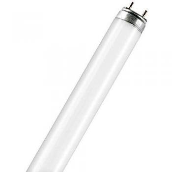 Osram FLUORA T8 - Lámpara fluorescente, G13L 36 W/77