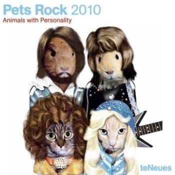 Pets rock