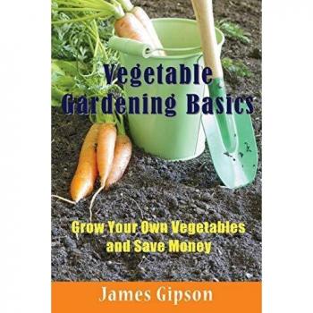 Vegetable Gardening Basics: Grow Your Own Vegetables and Save Money Guide
