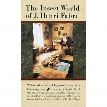 Mundo Insecto de J. Henri Fabre - Edición en Rústica, Serie Biblioteca Concord