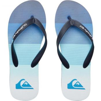 Quiksilver - Chanclas de hombre Molokai Stripe
