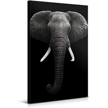 Cuadros Modernos de Animales de Decoración para Salón y Dormitorio - Elefante, 60 x 90 cm - Lienzo de Poliéster y Bastidor de Madera, Color Blanco y Negro, LEN-034