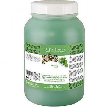 Iv San Bernard 020508 Fruits Champú Menta 3250 ml