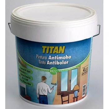 PINTURA ANTIMOHO BLANCO 750 ML