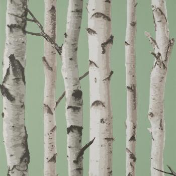 Fine Decor Birch Trees Sage Wallpaper