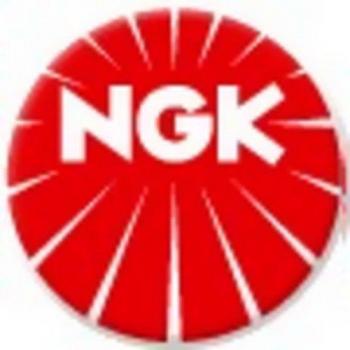 Bujía de encendido NGK 1406, 4 x Velas Original NGK Bujía NGK Bujía 7912