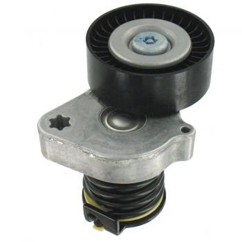 SKF VKM 38072 Kit tensor multi-V