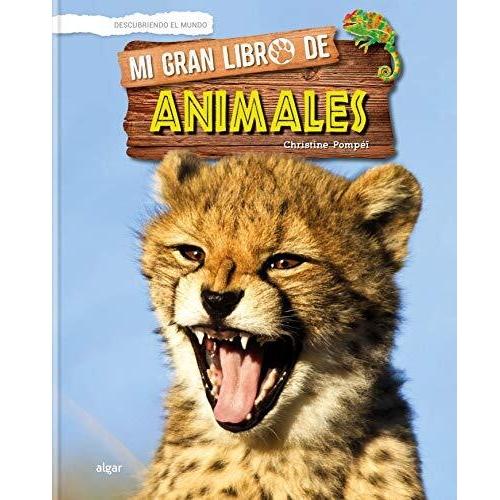 Imagen Principal