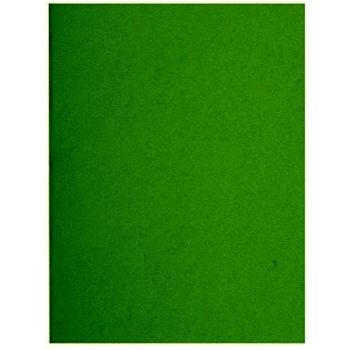 Exacompta Flash 220 - Paquete de 100 subcarpetas, 24 x 32 cm, color verde tila