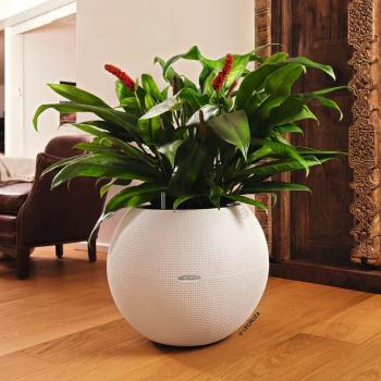 Maceta Lechuza Blanco Polipropileno - Maceta de diseño moderno, fabricada en polipropileno de alta calidad, color blanco, sistema de autorriego, adecuada para interior y exterior, resistente a la intemperie y