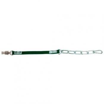 PFIFF - Cabestro para Caballos de hípica, Color Verde