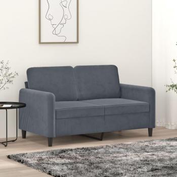 Sofá 2 Plazas Terciopelo Gris Oscuro 120 cm vidaXL