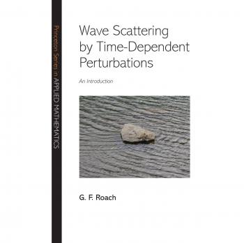 Wave Scattering by Time-Dependent Perturbations: An Introduction (Princeton Series in Applied Mathematics)