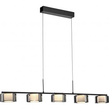 Lámpara Colgante LED Rika, Negra, 119 cm, Regulable en Intensidad, Función de Memoria, Altura Ajustable, 5xLED-Board/7.60W/3000K