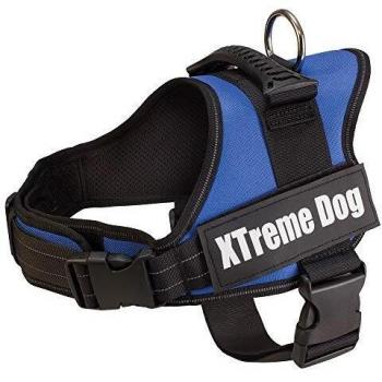 Arquivet Arnés Perro Xtreme Dog Camuflaje Azul Talla: XS/44-57 cm - Arnés ergonómico Ajustable en Cuello y Extra Resistente para Perros - para el adiestramiento y Paseo de tu Mascota