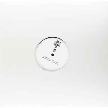 Never Again Dispute - Vinyl Edition