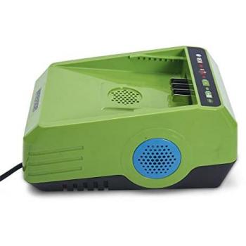 Cargador de Batería de Iones de Litio Warrior Eco Power 60V, 2,5 Ah, Carga Rápida con Doble Ventilador y Indicador LED