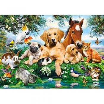 Puzzle Castorland Colegas de Verano 500 Piezas - Adultos - Paisaje y Naturaleza