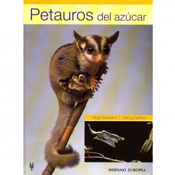 Petauros del azúcar