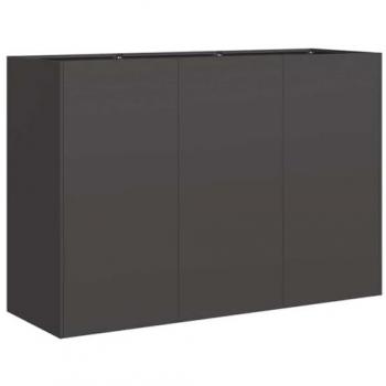 Cold-Rolled Steel Black Planter 120x40x80 cm